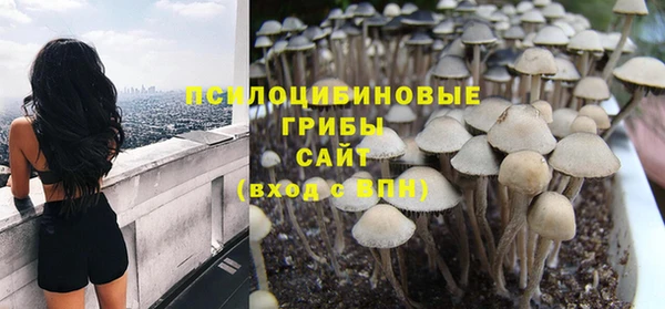 крисы Алексин
