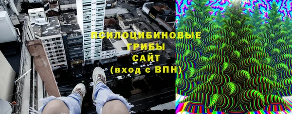 ешки Алзамай