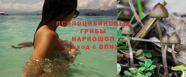 ешки Алзамай