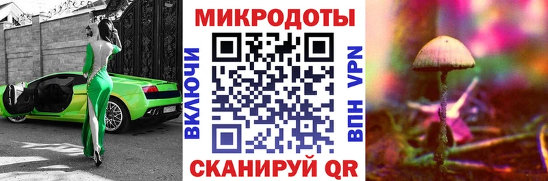 Псилоцибиновые грибы Psilocybine cubensis  где найти наркотики  Макушино 