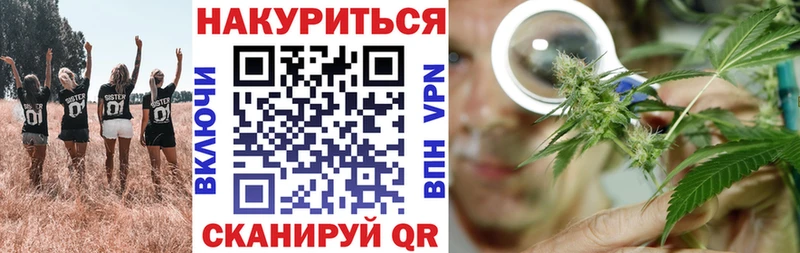 Бошки марихуана THC 21%  продажа наркотиков  Макушино 